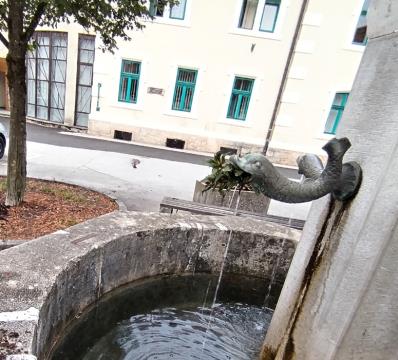 Roža, zataknjena v pipo vodnjaka